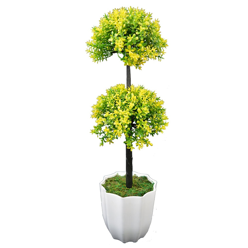  Long Bonsai Yellow DDT