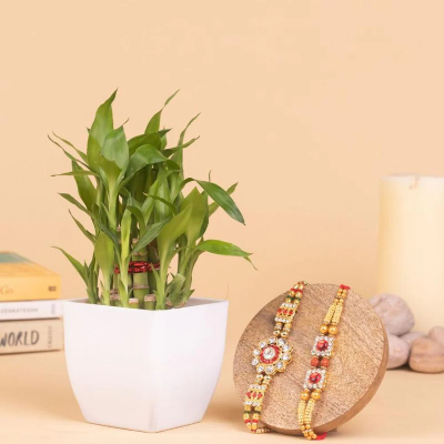 Two Layer Bamboo Plant With Set Of 2 Rakhi